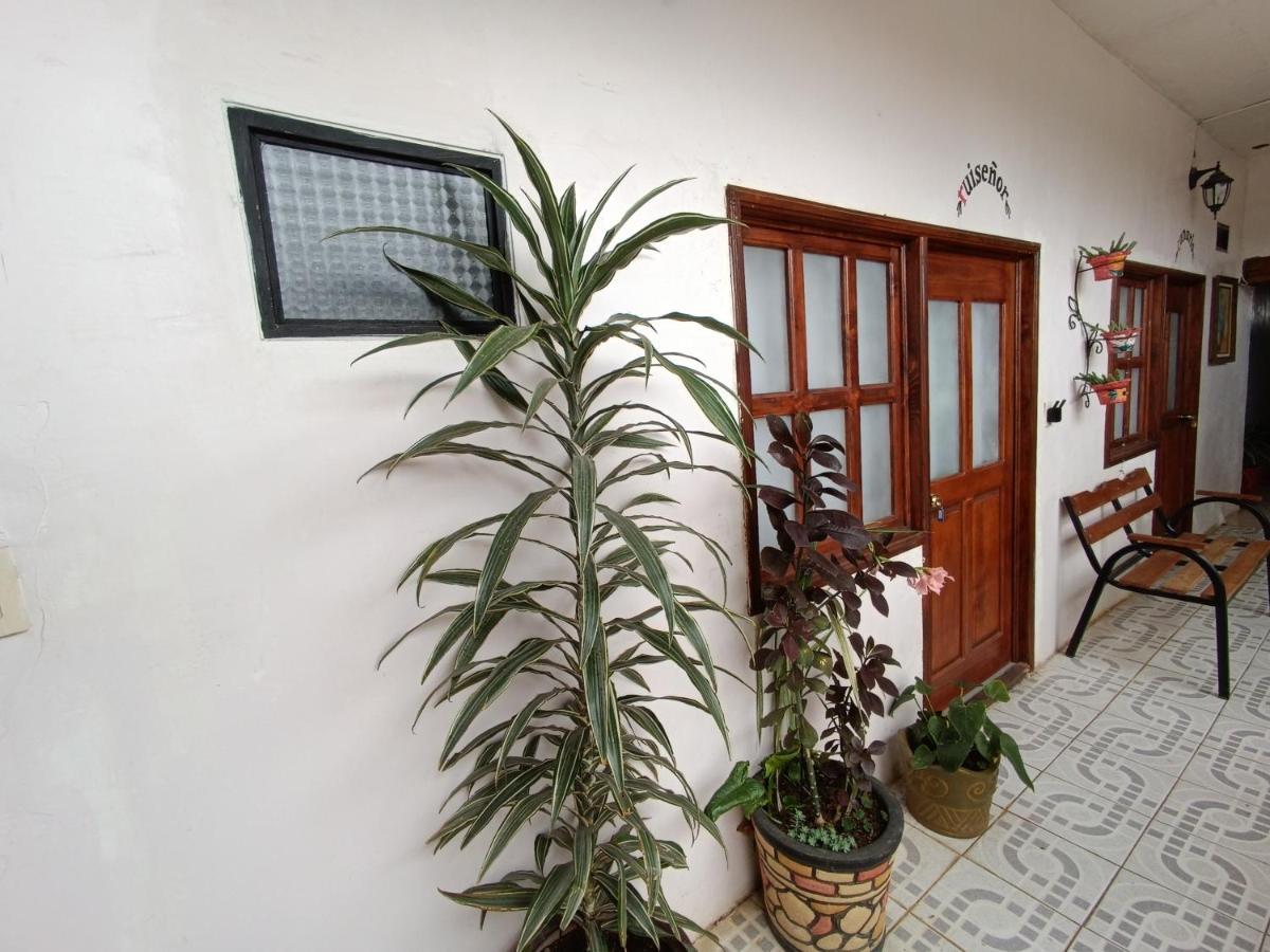 Casa Petirrojo - Habitaciones En Pátzcuaro المظهر الخارجي الصورة